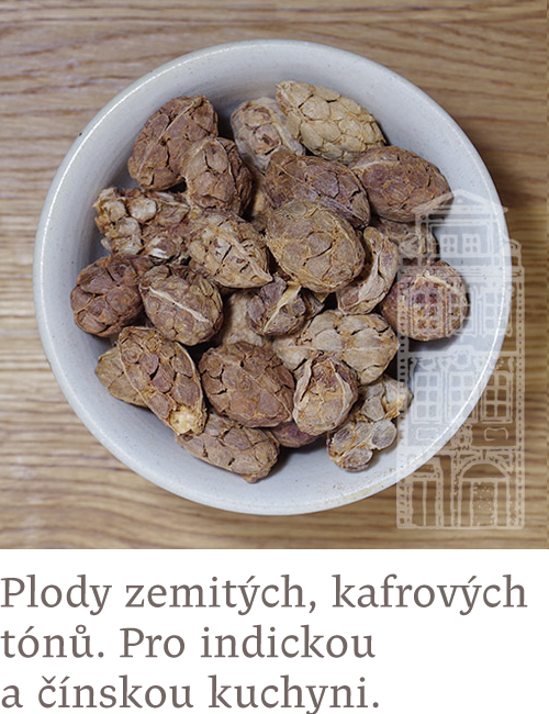 Kardamom černý – Vietnam