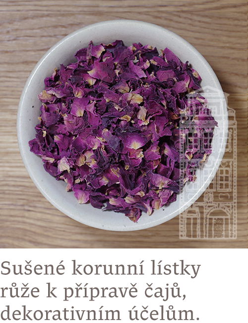 Lístky červené růže