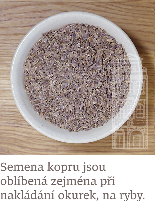 Kopr semena